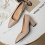 Fashion Single Shoes Women's Thick Heels  Spring New Pointed Work Shoes With Shallow Mouth And One Foot Kick On Korean High Heels Simple